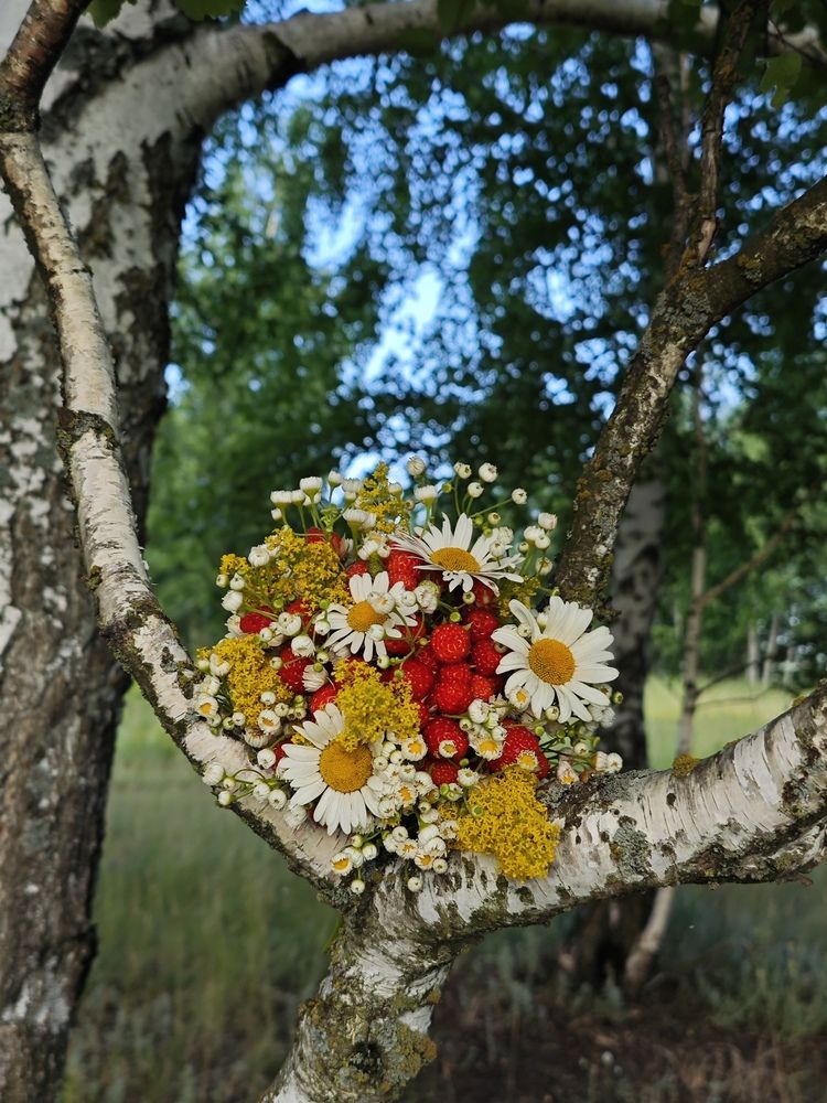 Фотография автора Валерий Гудков
