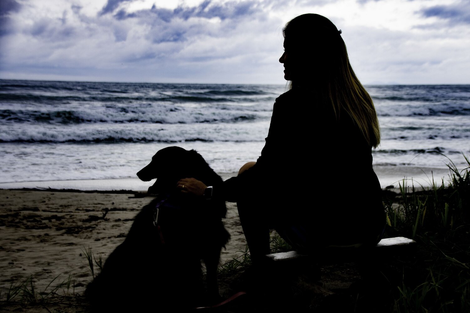 Photo #13728213