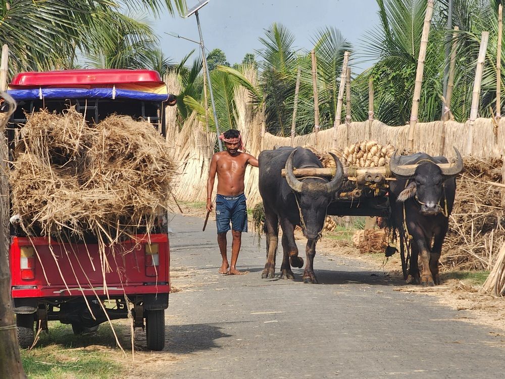 Photograph by Irene Chattopadhyay