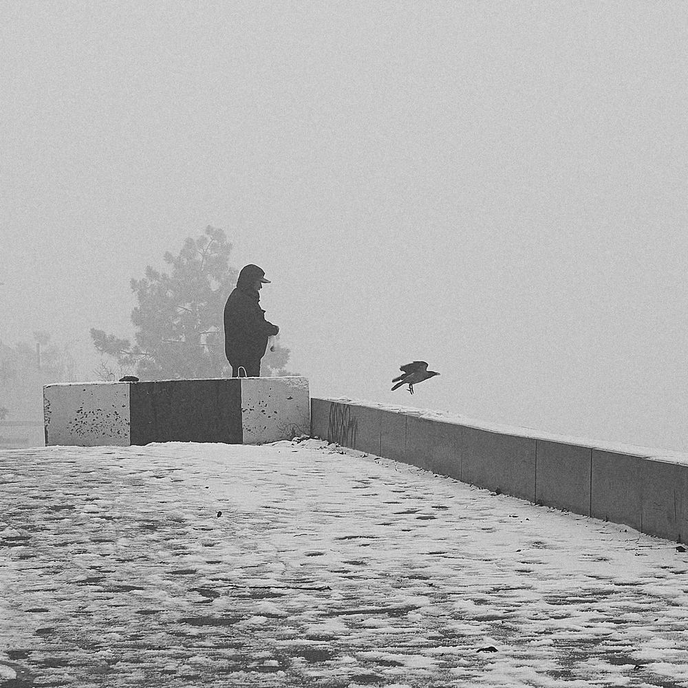 Photograph by Петров Андрей