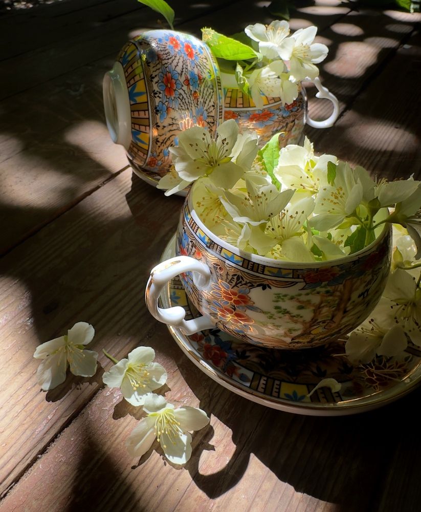 Photograph by Elena Ananieva