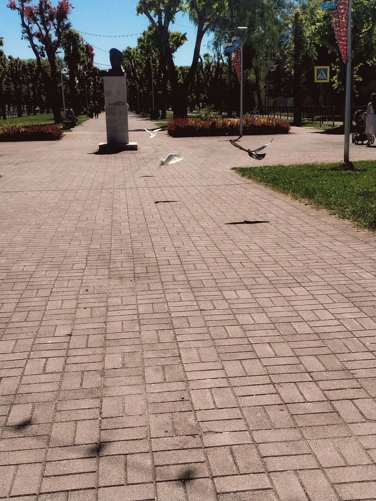 Photograph by Елена Бадзюх