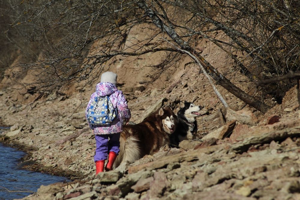 Photograph by Елена Наленч