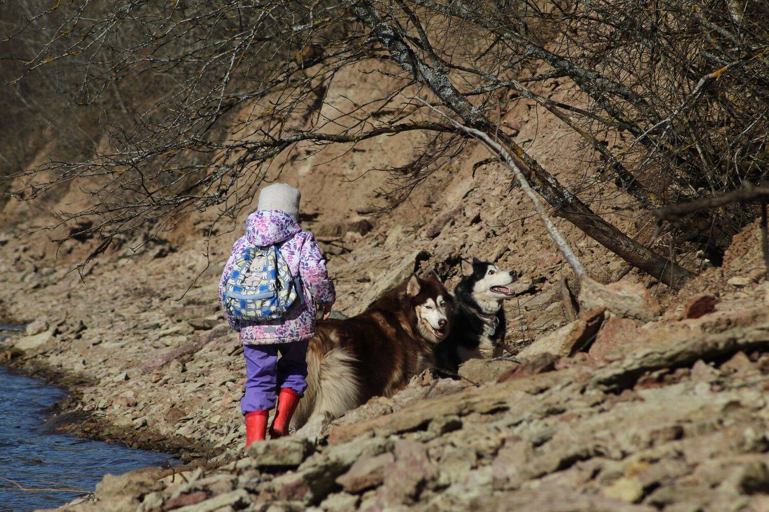 Photo #13728475