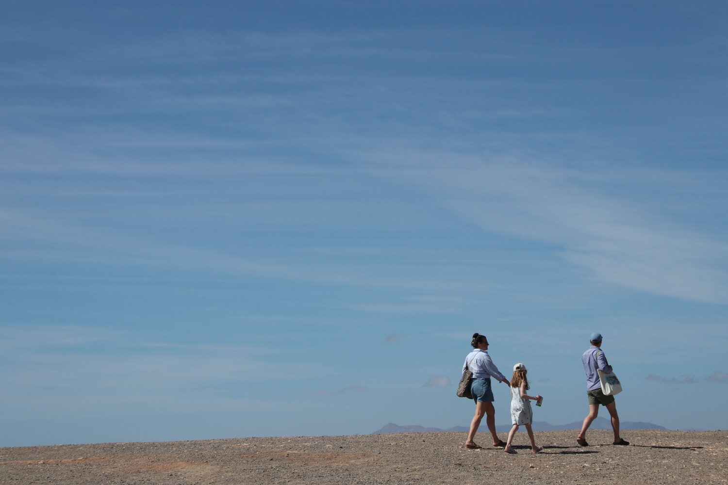 Photo #13728678