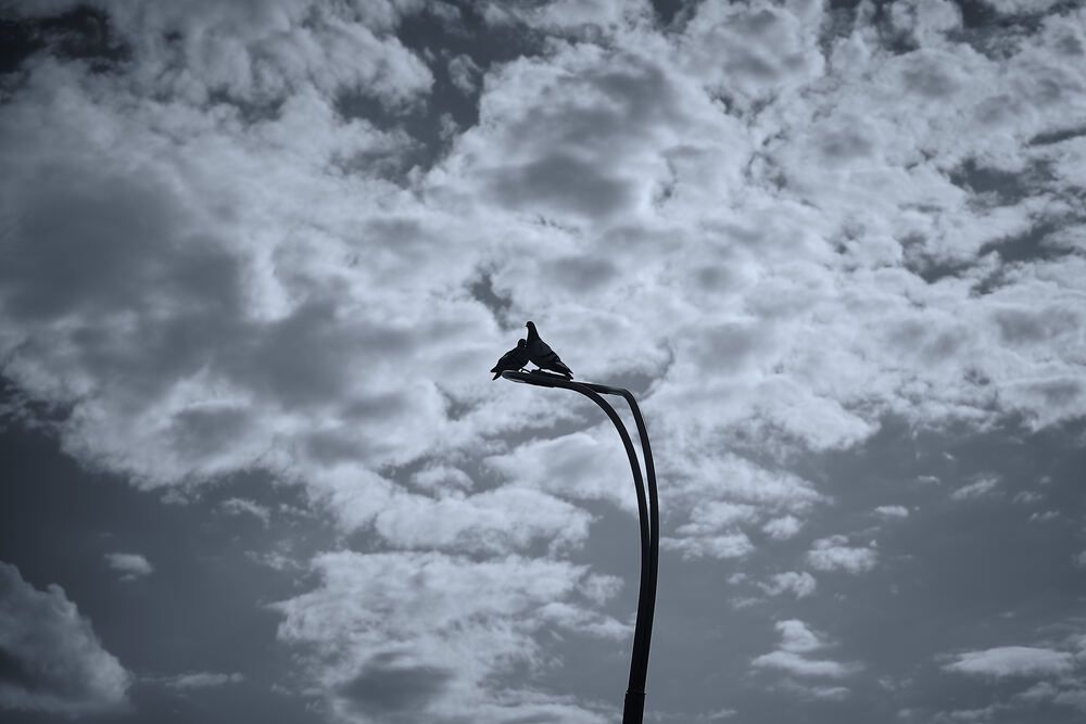 Photograph by Андрей Каёкин