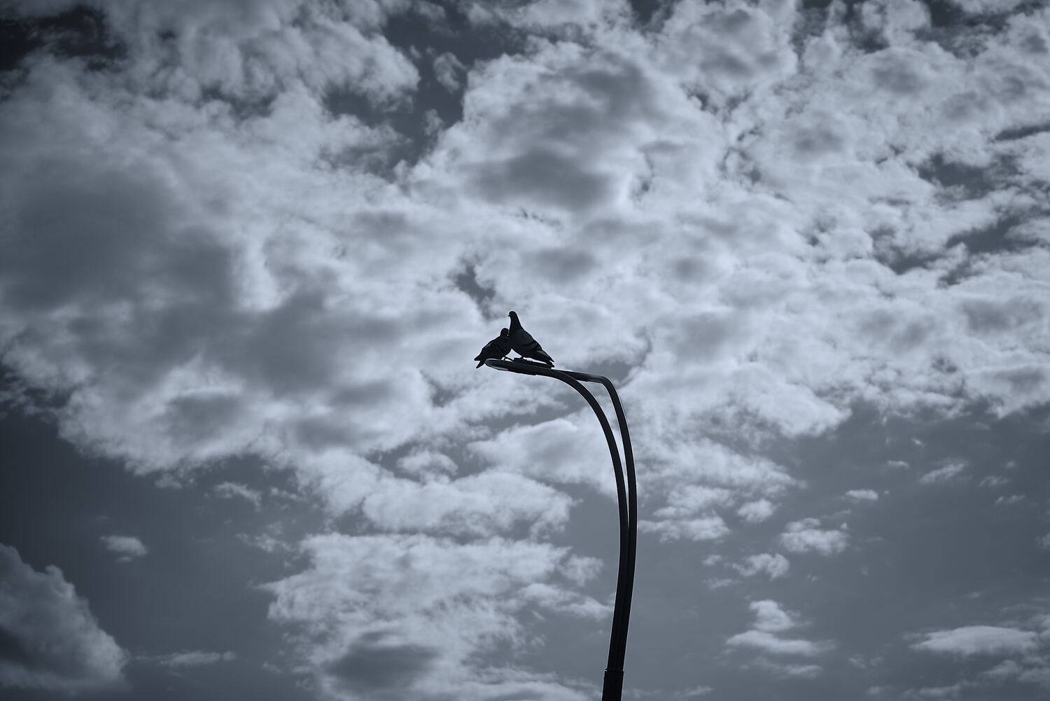 Photo #13728733