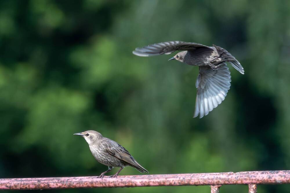 Photograph by Ольга Кузнецова
