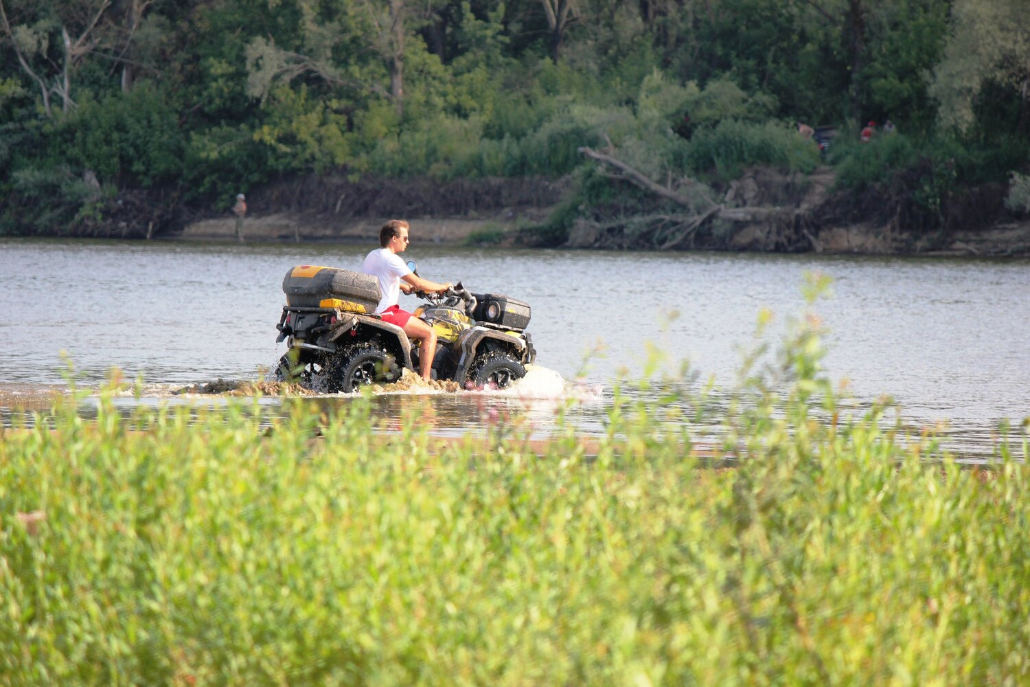 Photo #13728785