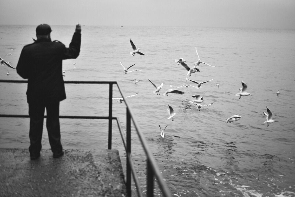 Photograph by Вадим Васильев