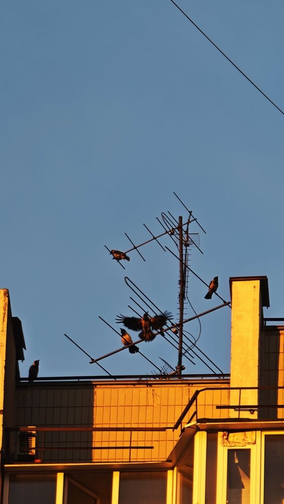Photograph by Хельга Крас