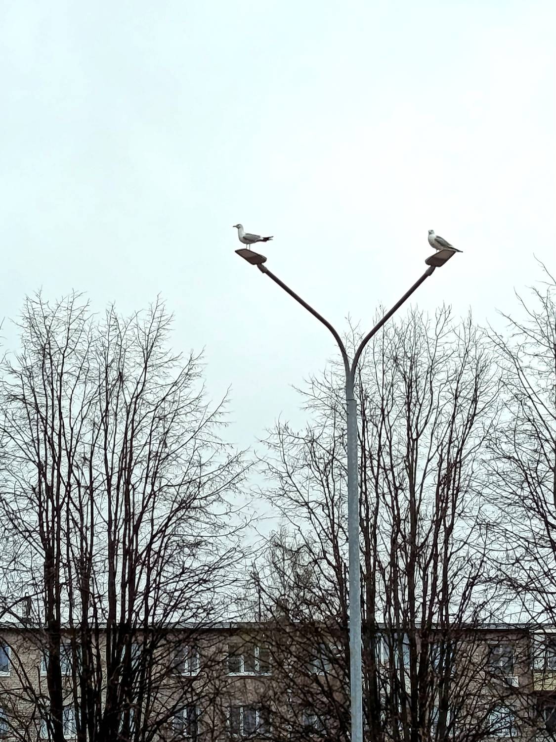 Photo #13728948