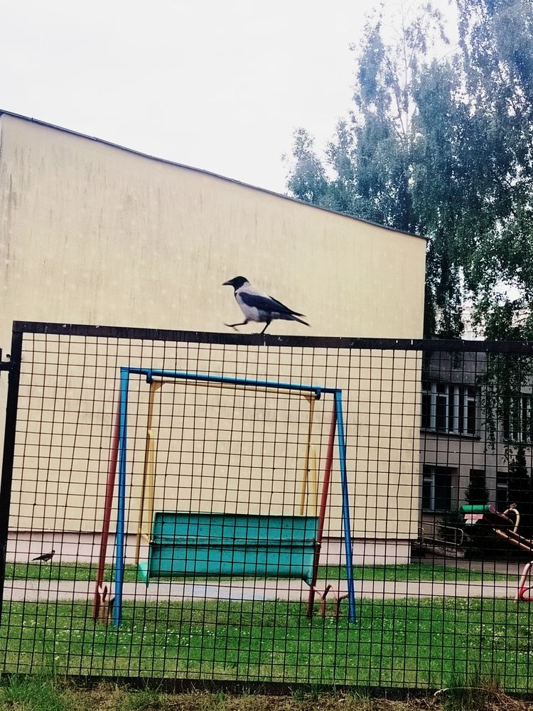 Photo #13728961