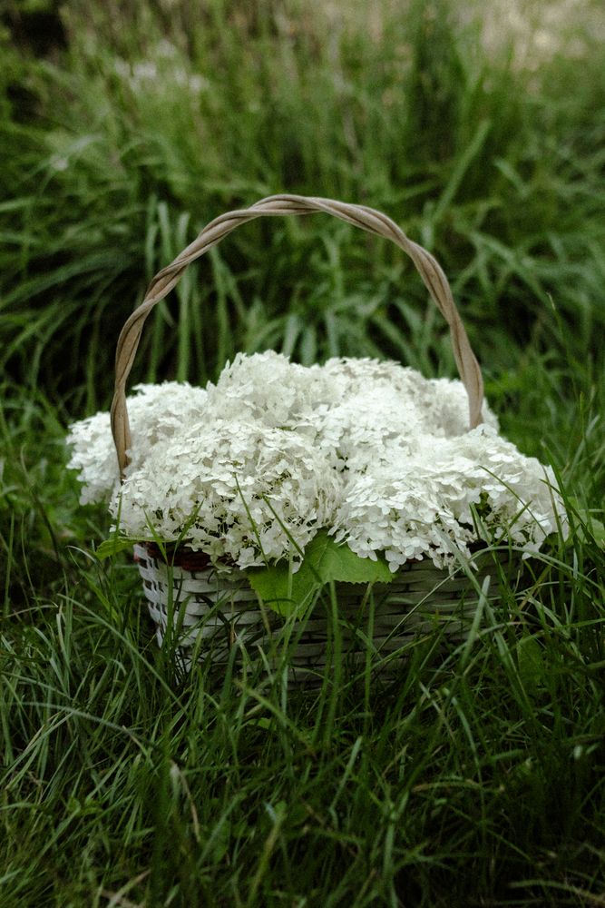 Photograph by Анастасия Гусейнова
