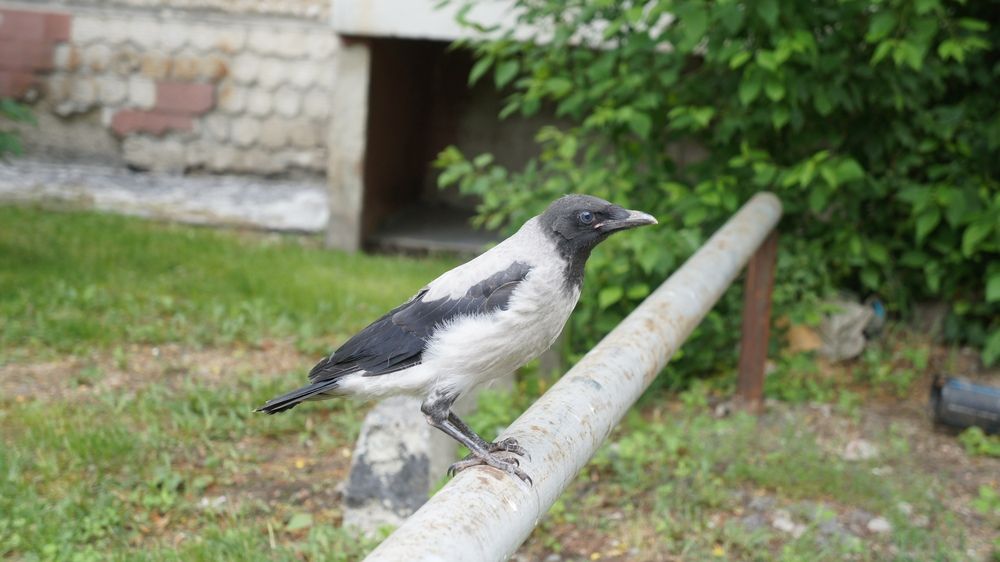 Photograph by Александр Вагнер
