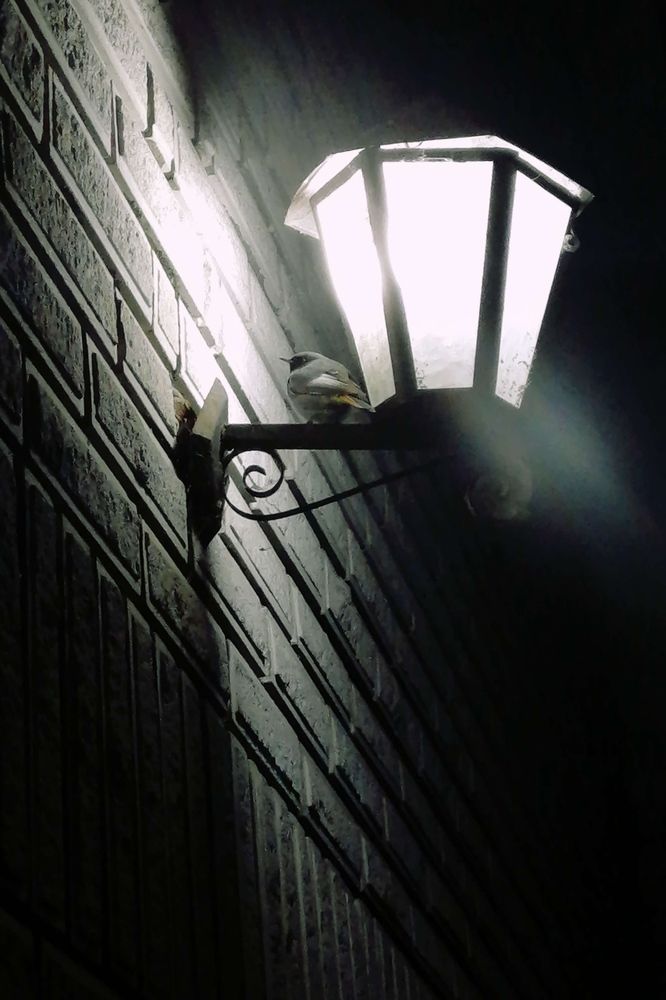 Photograph by Sara Radomirovic