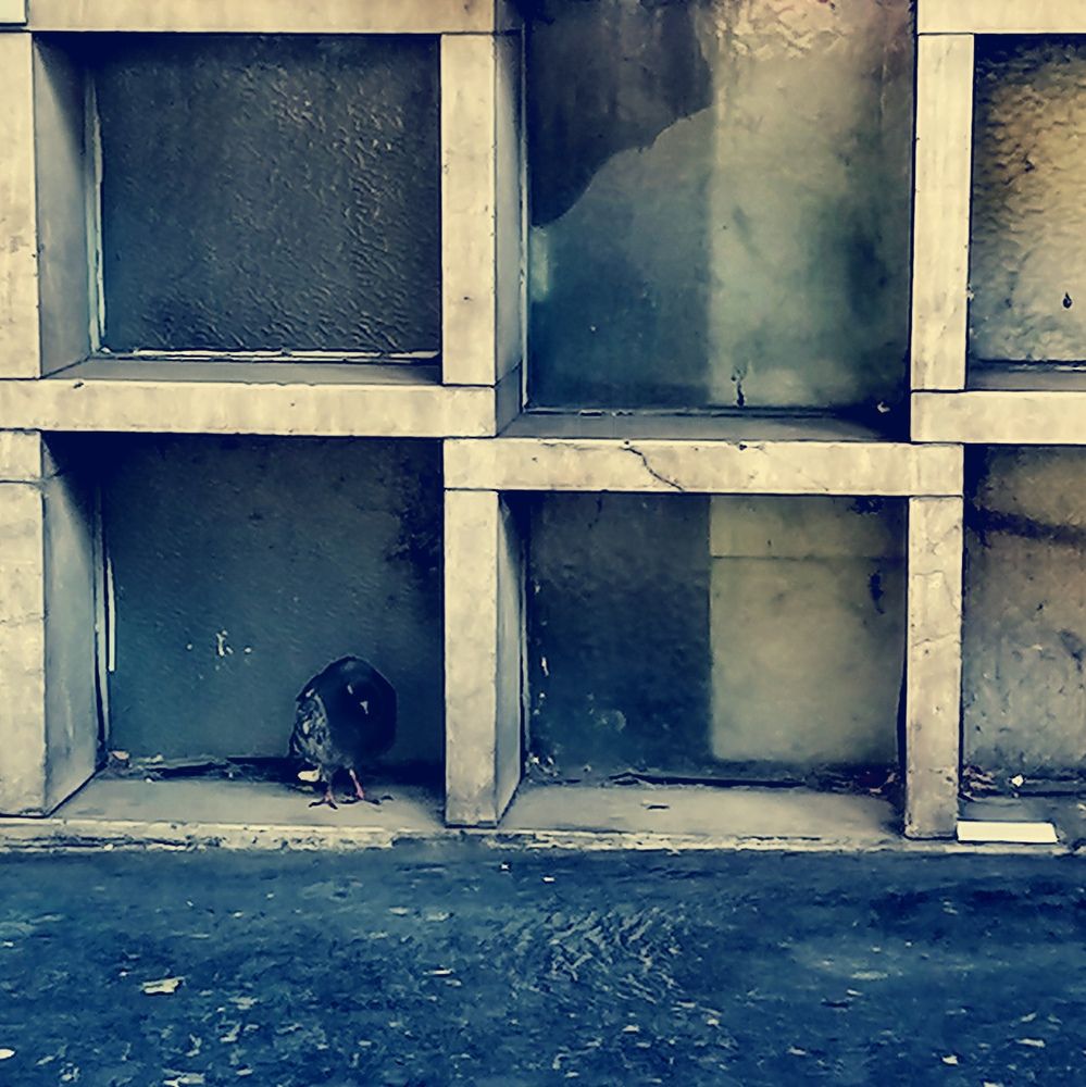Photograph by Sara Radomirovic