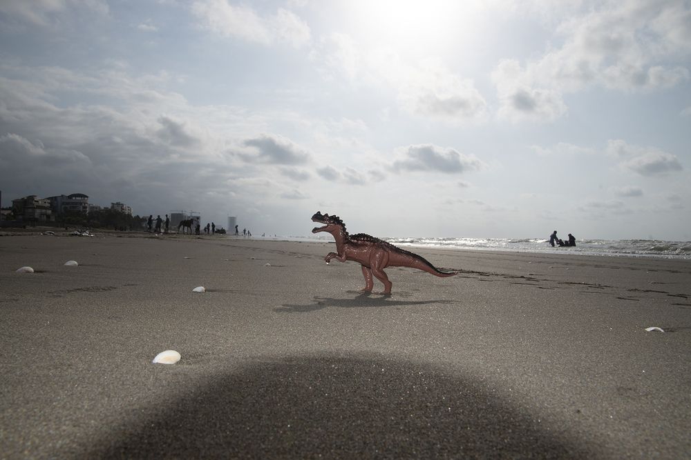 A Dinosaur