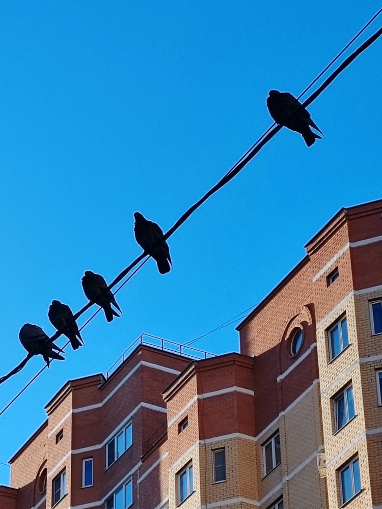 Photograph by Светлана Васильева