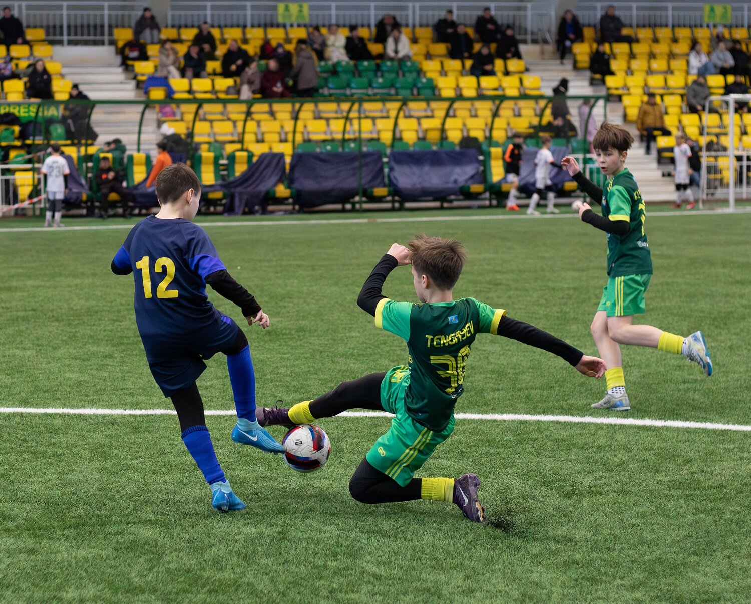 Photo #13729293