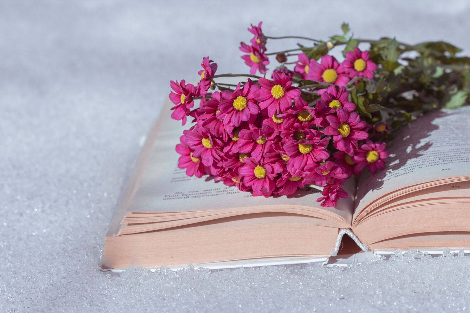 Photo #13729347