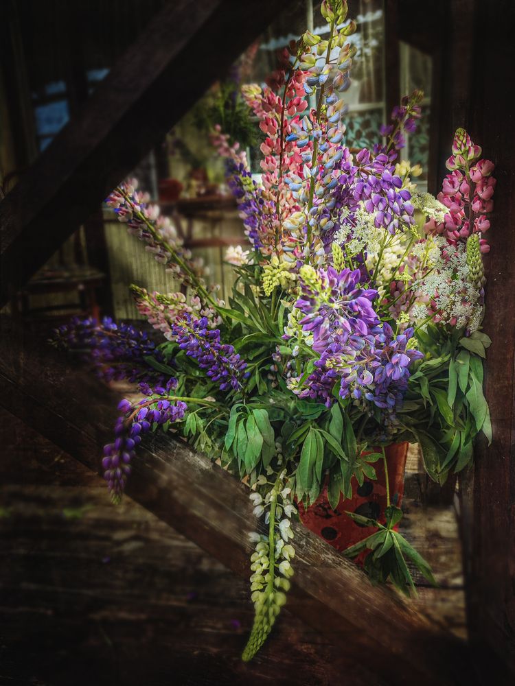 Photograph by Светлана Захарова