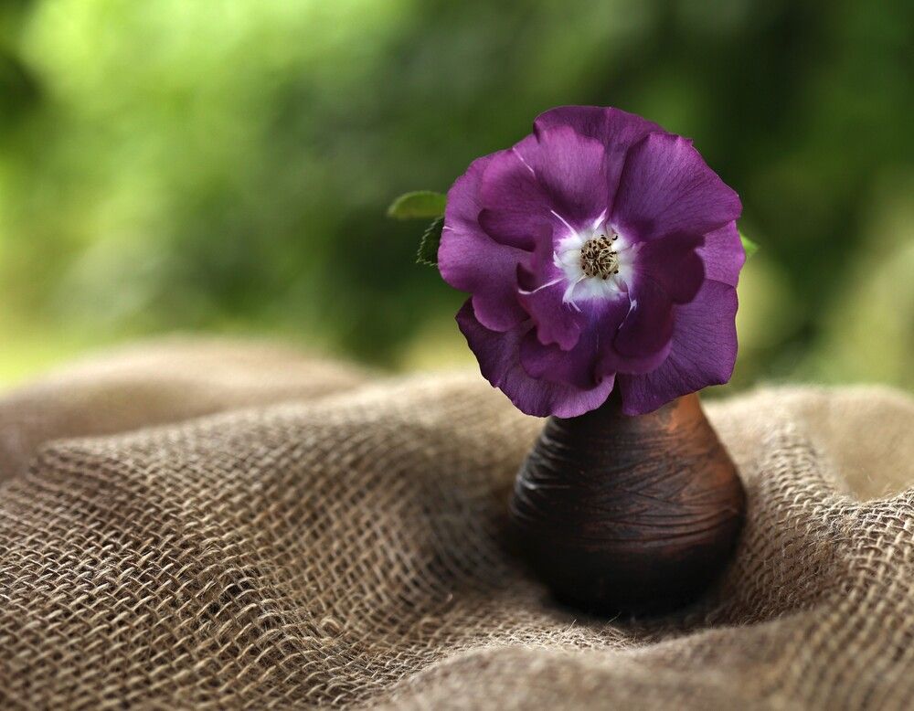 Photograph by Елена Одынец
