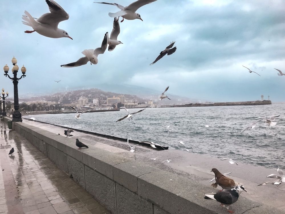 Photograph by Дмитрюк Вилена