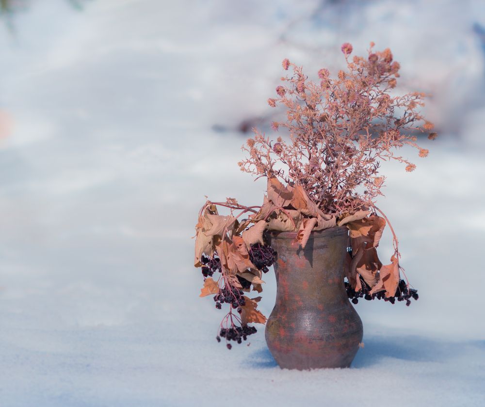 Photograph by Дмитрюк Вилена