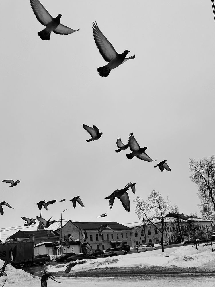 Фотография автора Светлана Ионова