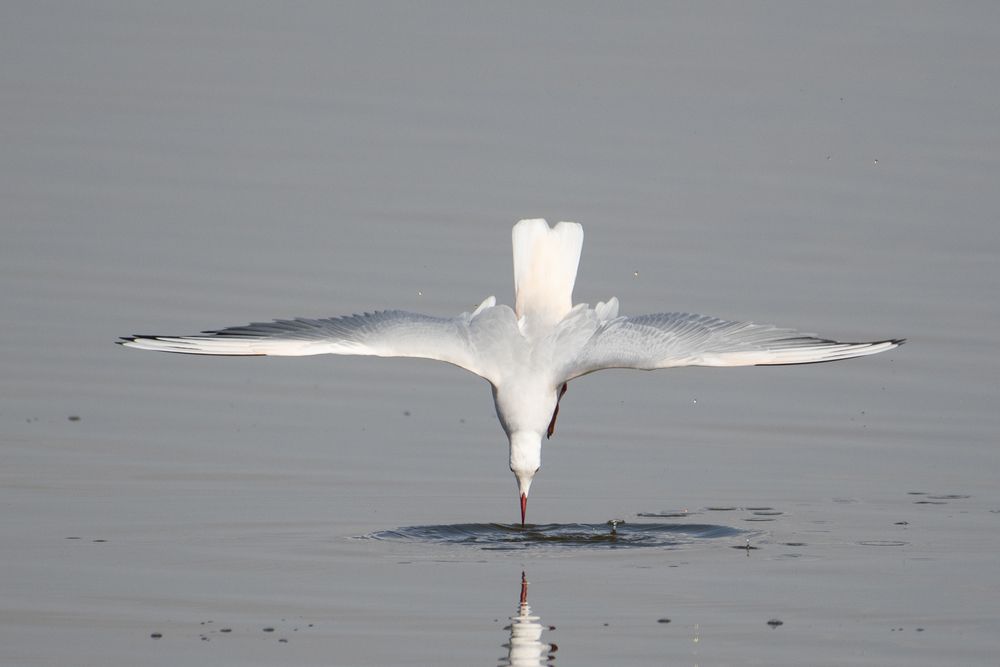 Photograph by Rania Elturky