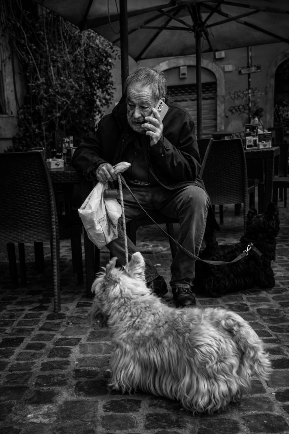 Photo #13729504