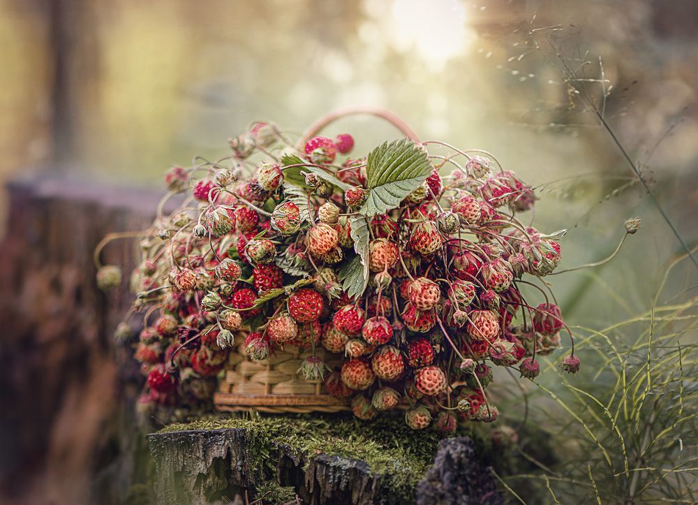 Photograph by Светлана Пласенция