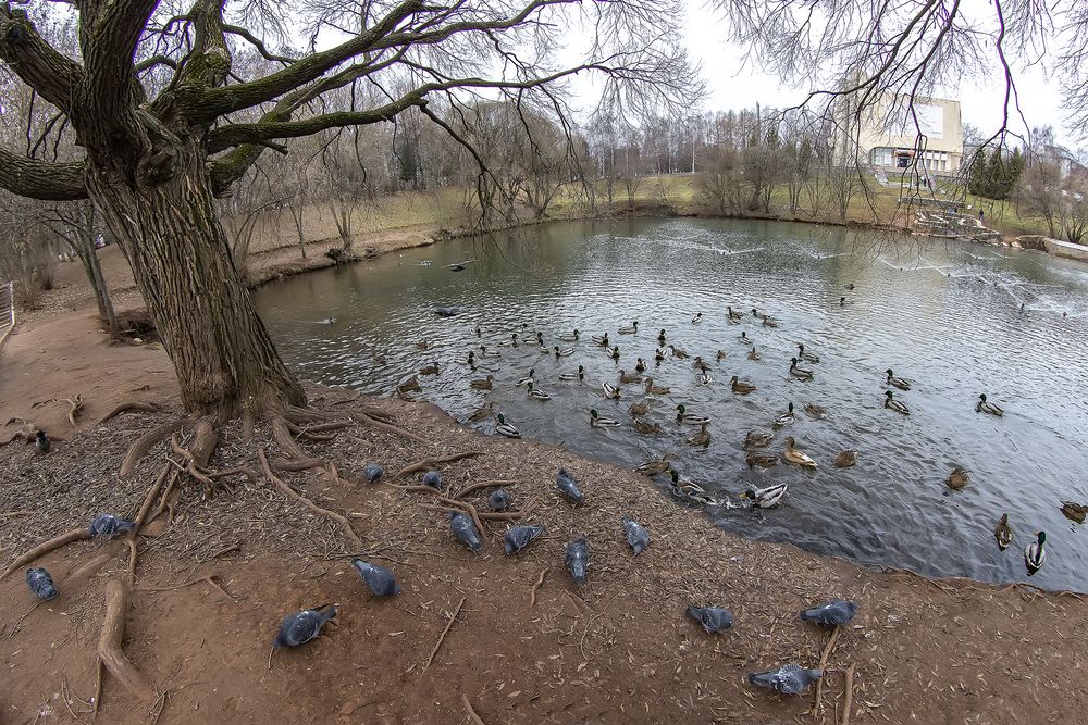 Photo #13729674
