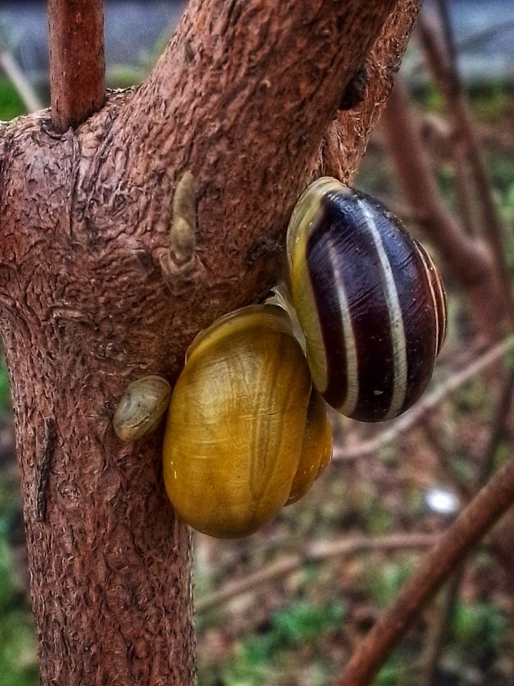 Photograph by Юлия Громушкина