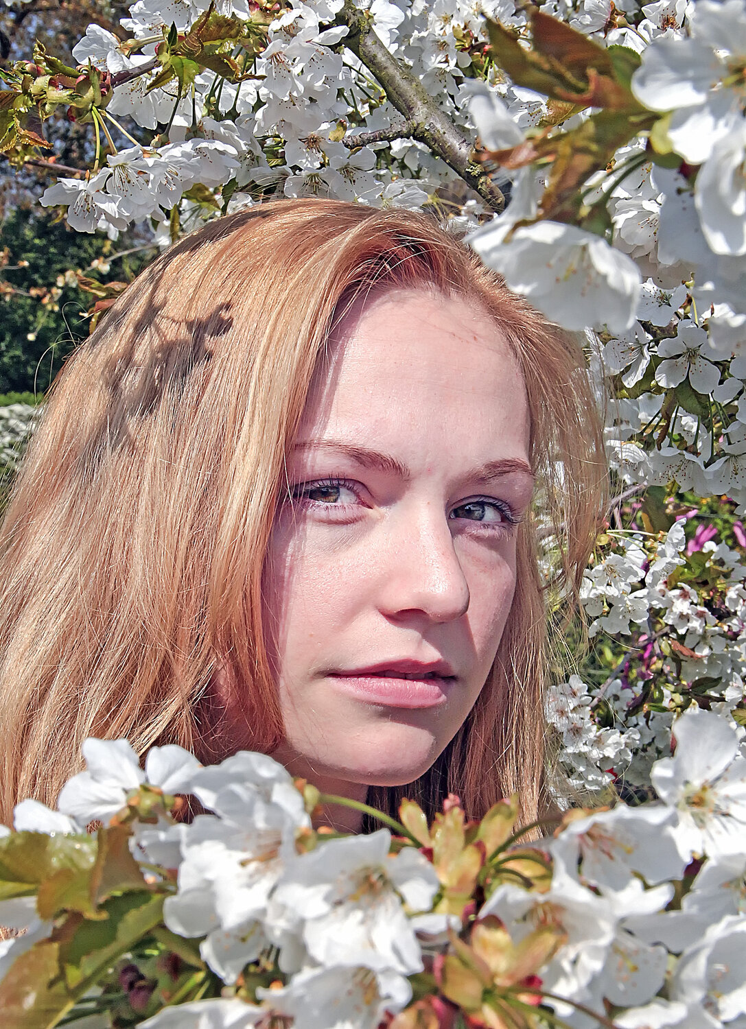 Photo #13729985