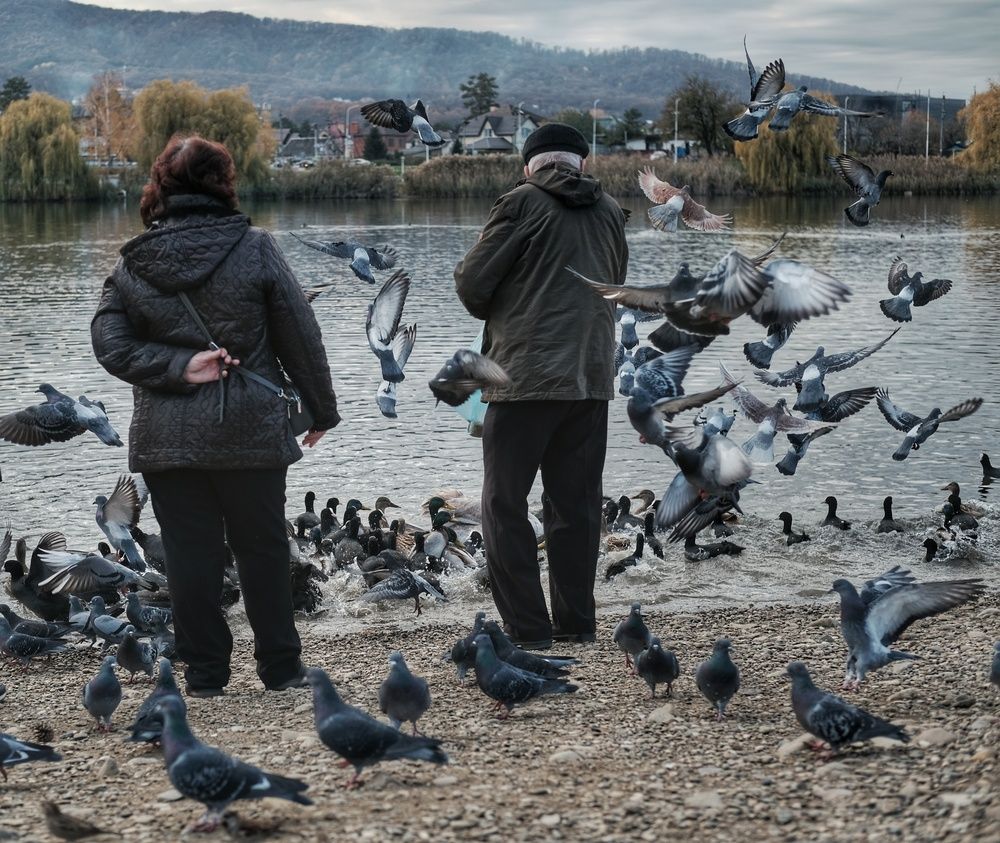 Photograph by Сергей Кошин