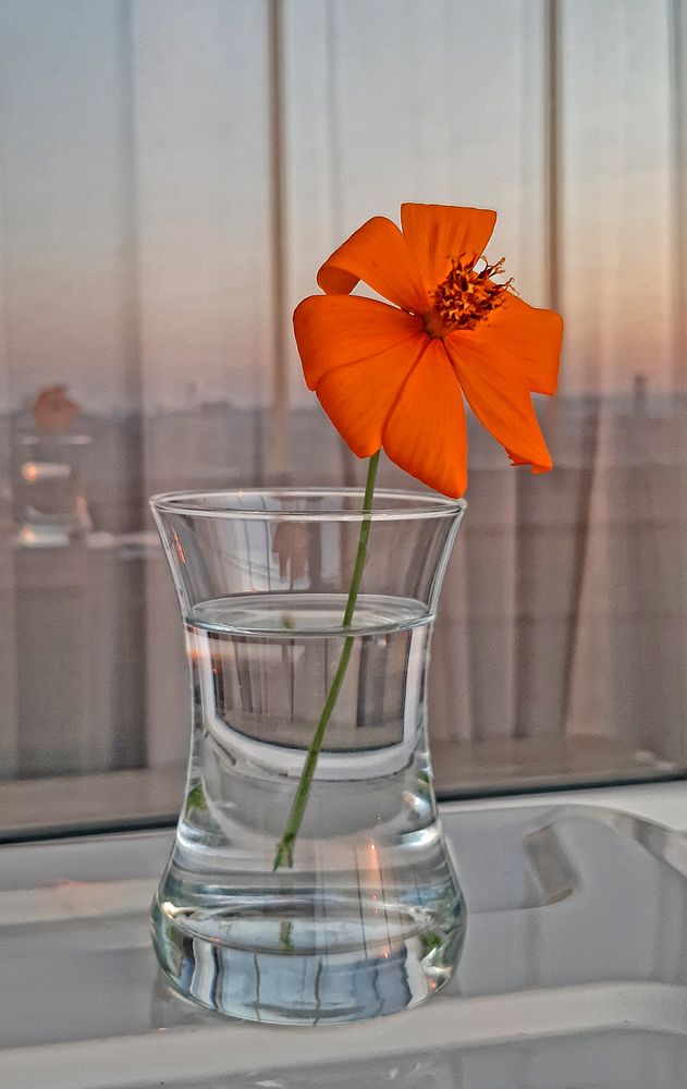 Фотография автора Hikmet Sadixov