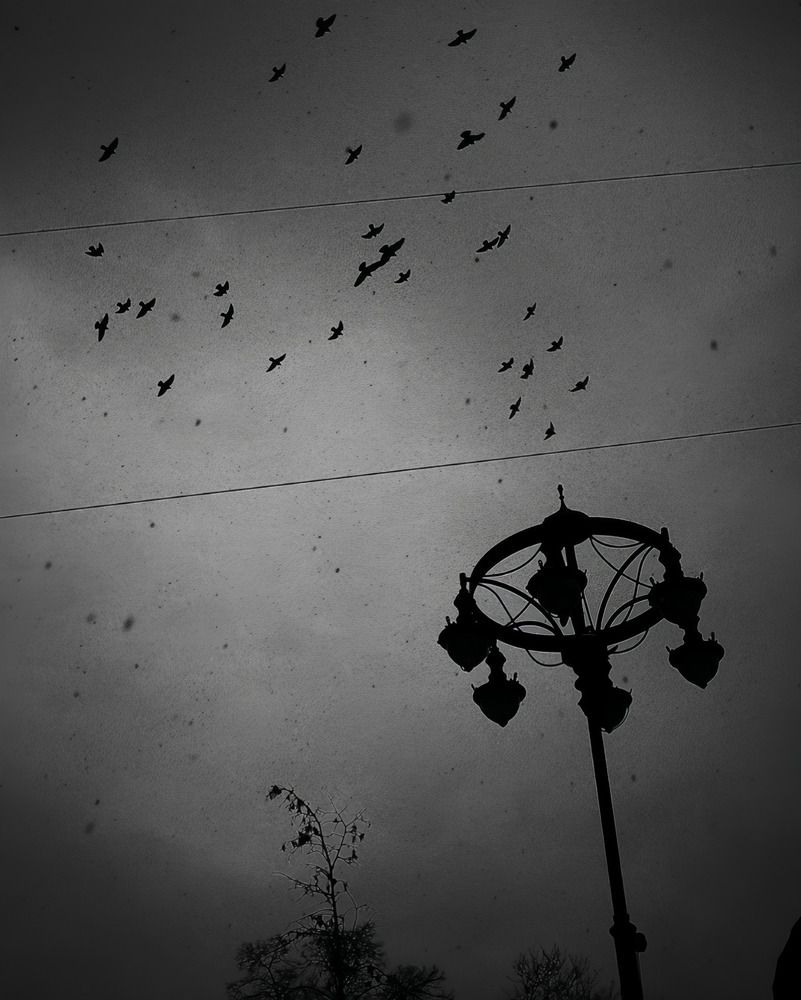 Photograph by Михаил Ногин