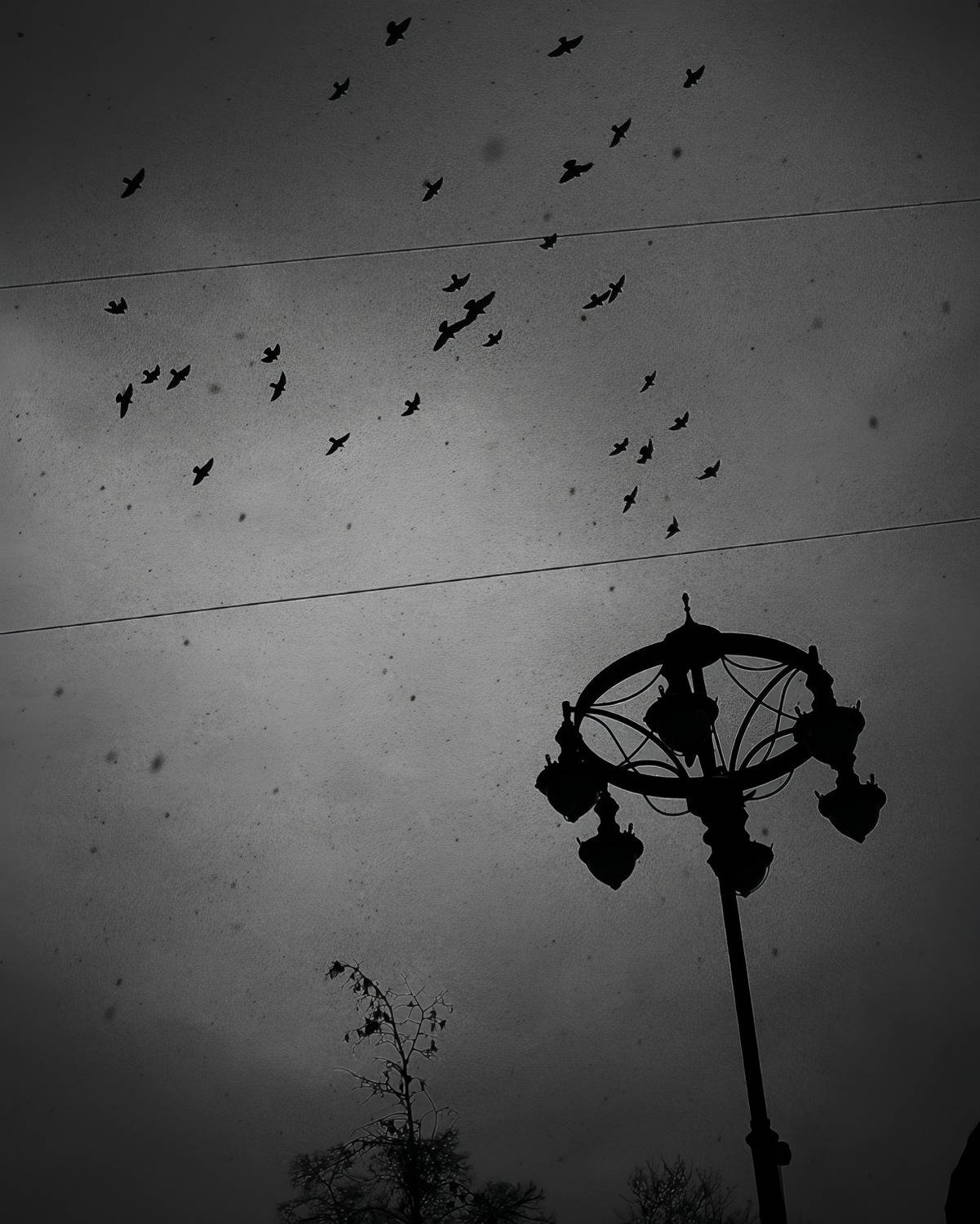 Photo #13730108