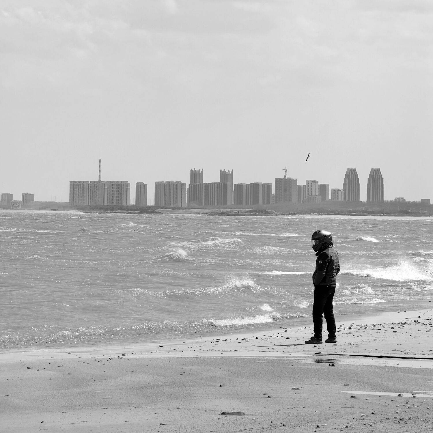 Photo #13730207
