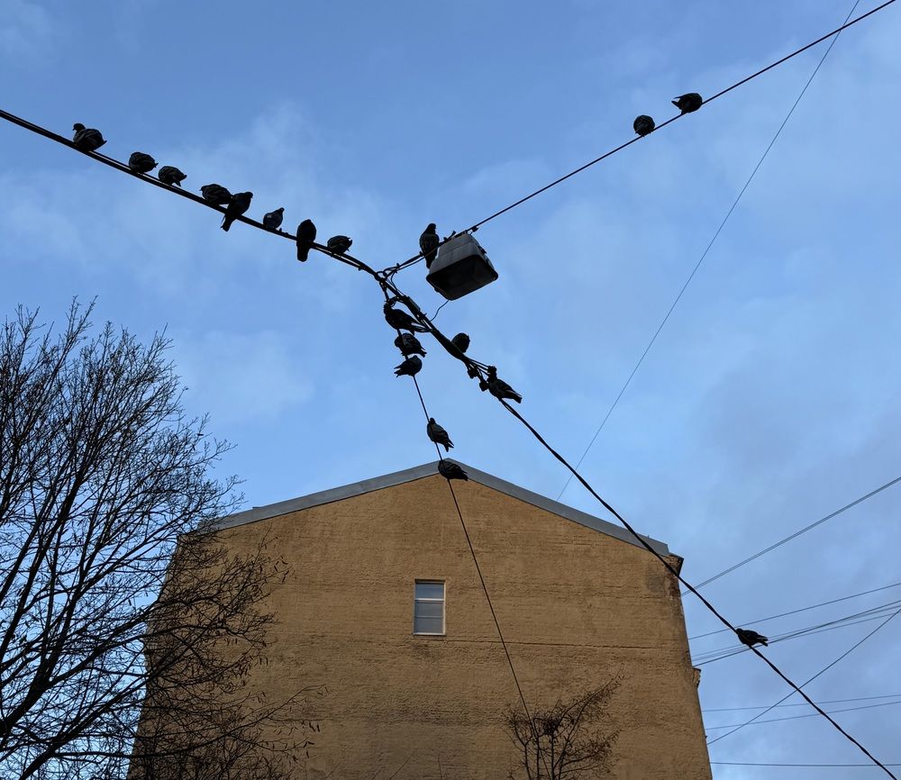 Photograph by Наталья Казачок