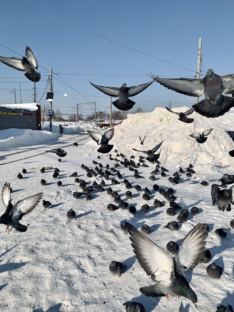 Photograph by Наталья Сёмина