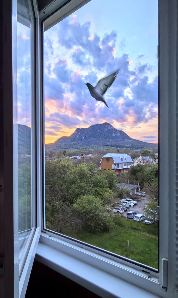 Фотография автора Кривенко Владимир
