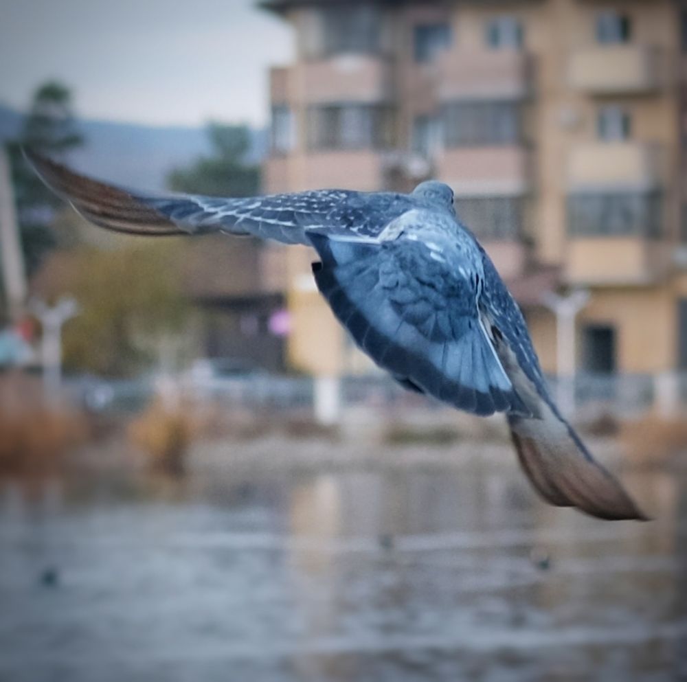 Photograph by Сергей Кошин