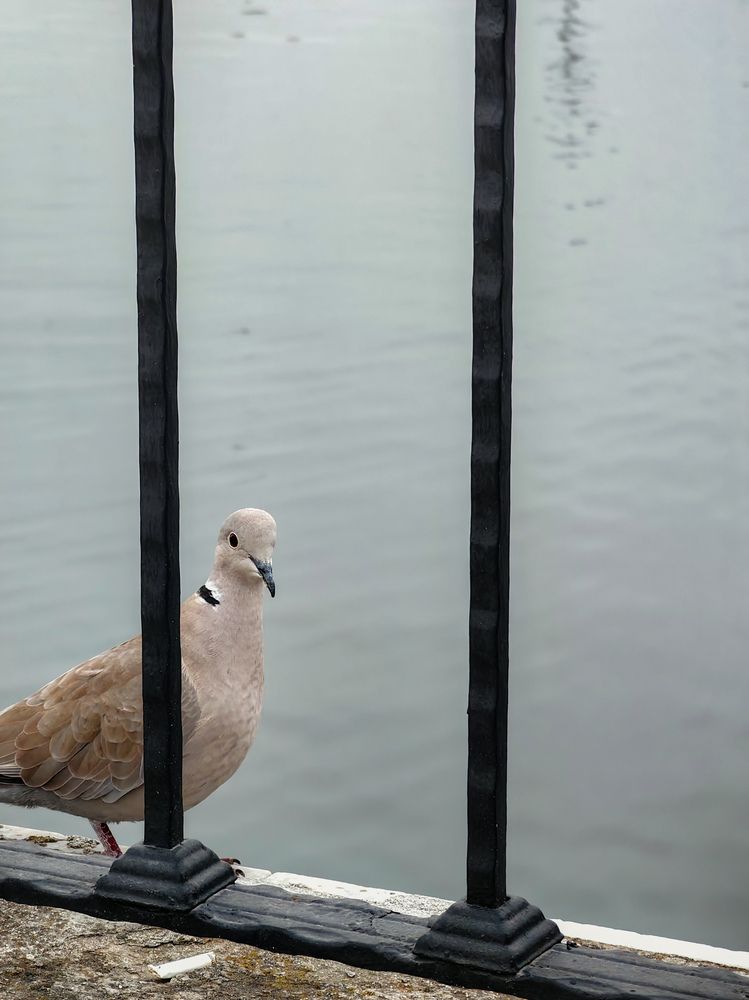 Photograph by Марина Александрюк