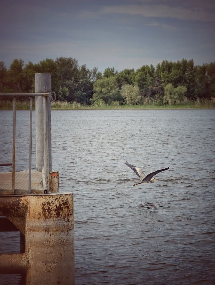 Photograph by AlexaL