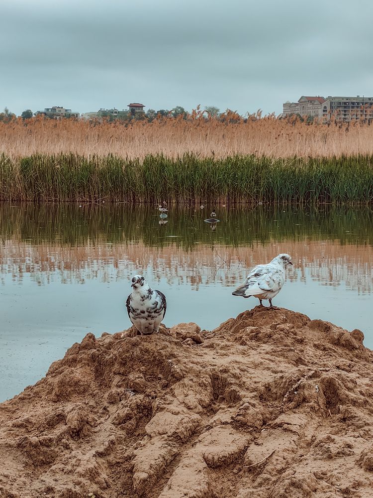 Photograph by Марина Александрюк