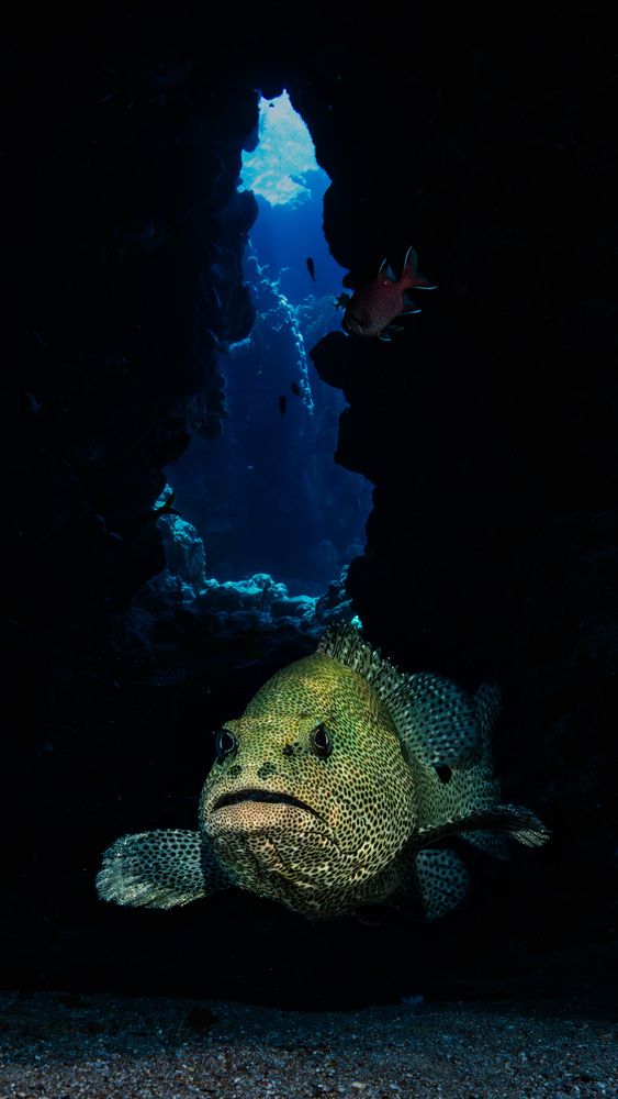 Photograph by Serdar AVCI