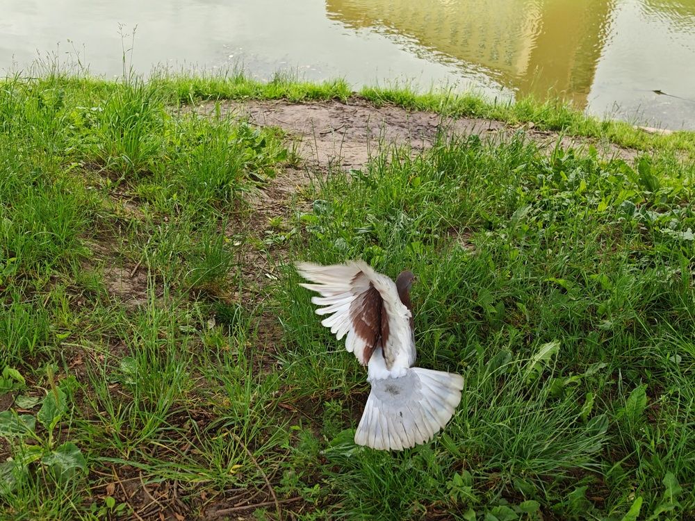 Photograph by Андрей